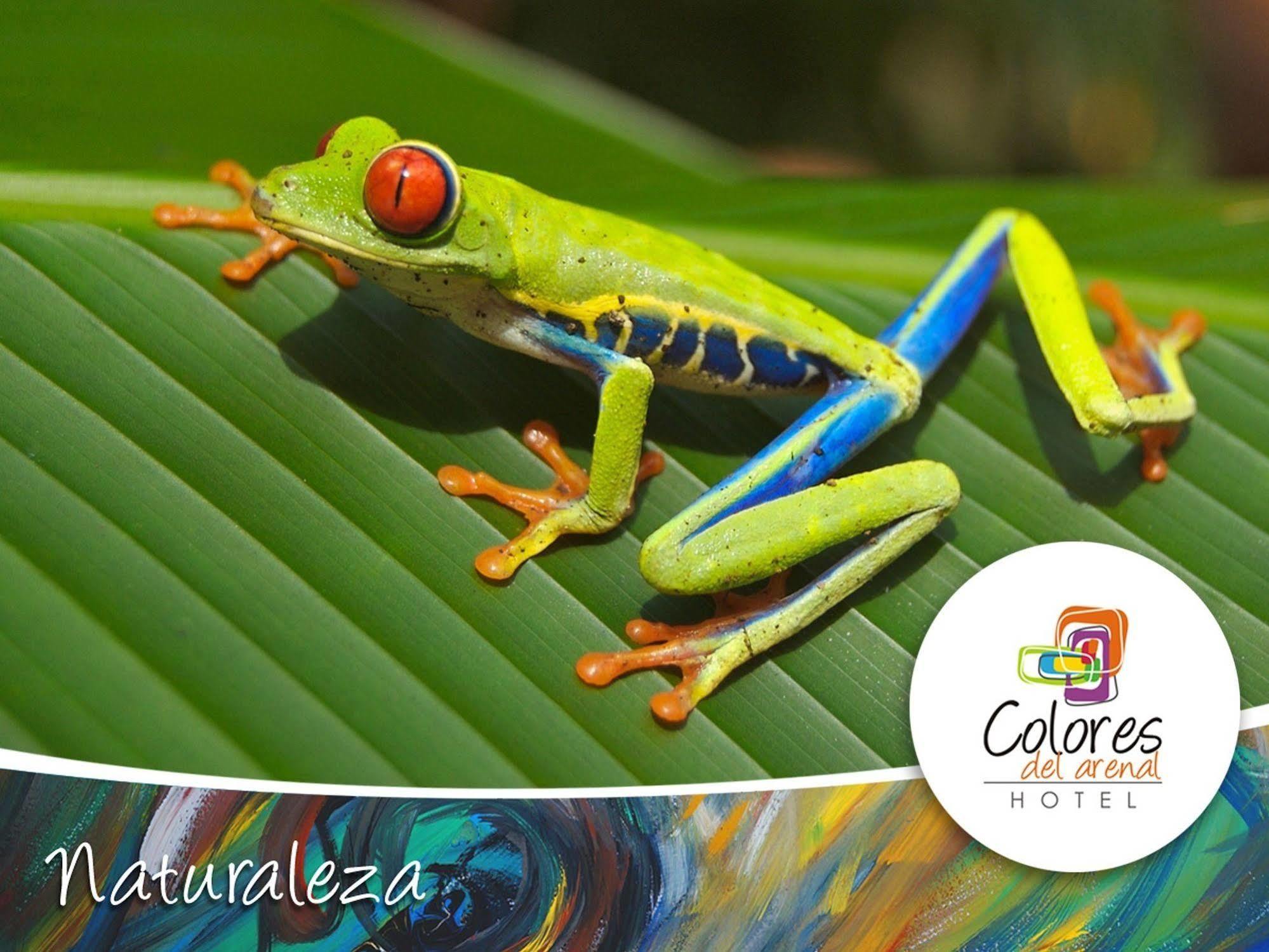 Hotel Colores Del Arenal La Fortuna Exterior photo